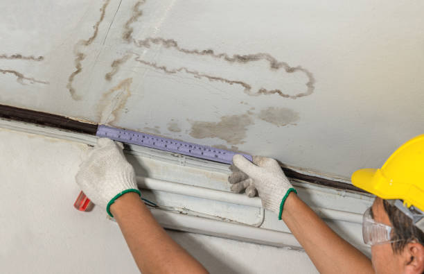 Reliable Water Damage contractor in New Jersey, NJ by Water Damage Irwin